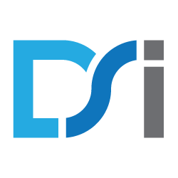 Design and Software International logo